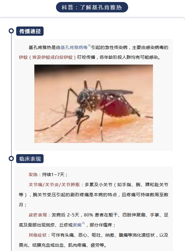 wechat_2025-08-08_091754_125.png wechat_2025-08-08_091754_125.png